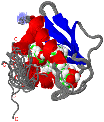 Image NMR Structure - all models