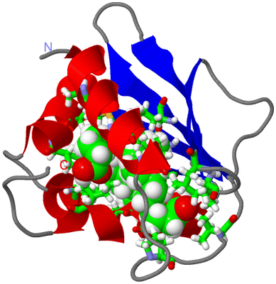 Image NMR Structure - model 1, sites