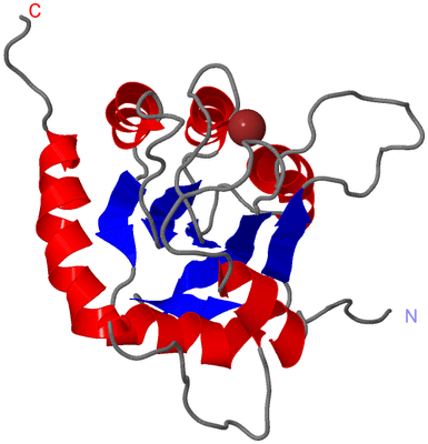 Image NMR Structure - model 1