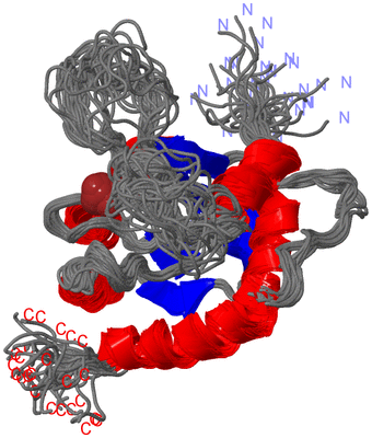 Image NMR Structure - all models