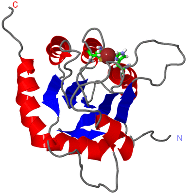 Image NMR Structure - model 1, sites