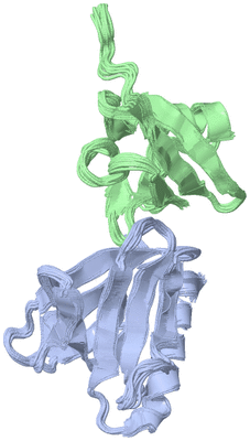 Image NMR Structure - all models