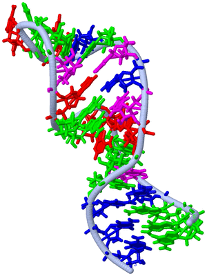 Image NMR Structure - model 1