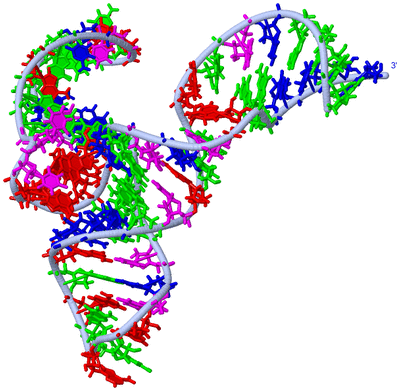 Image NMR Structure - model 1