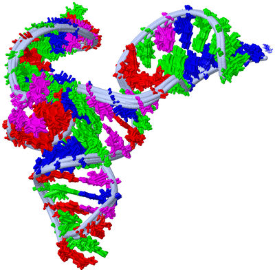 Image NMR Structure - all models