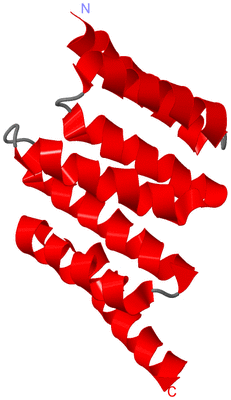 Image NMR Structure - model 1