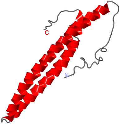 Image NMR Structure - model 1