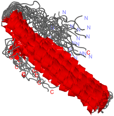 Image NMR Structure - all models