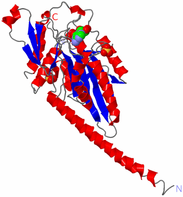 Image Asymmetric Unit