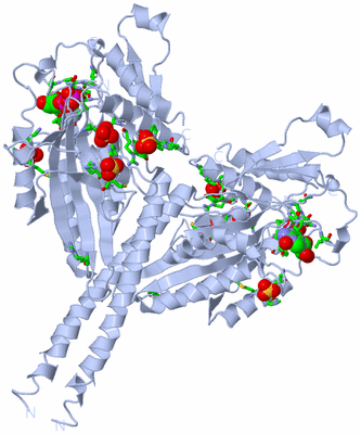 Image Biol. Unit 1 - sites