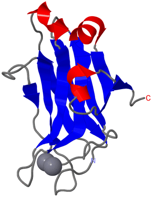 Image NMR Structure - model 1