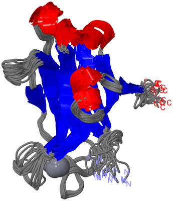 Image NMR Structure - all models