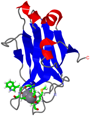 Image NMR Structure - model 1, sites