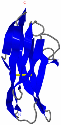 Image NMR Structure - model 1