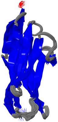 Image NMR Structure - all models