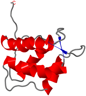 Image NMR Structure - model 1