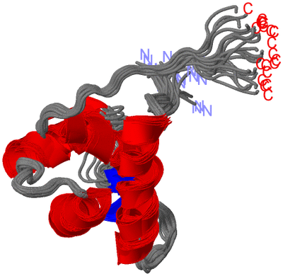Image NMR Structure - all models