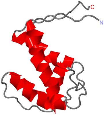 Image NMR Structure - model 1