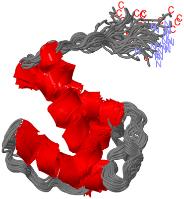 Image NMR Structure - all models