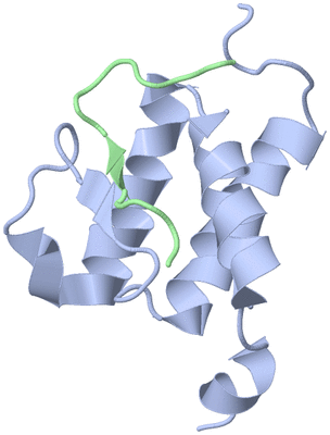 Image NMR Structure - model 1