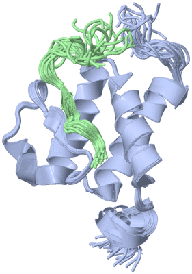 Image NMR Structure - all models