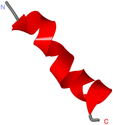 Image NMR Structure - model 1