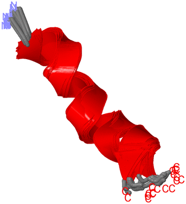 Image NMR Structure - all models