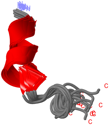 Image NMR Structure - all models