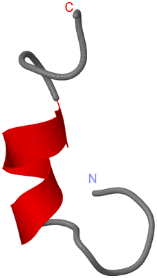 Image NMR Structure - model 1