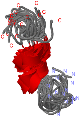 Image NMR Structure - all models