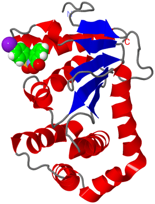 Image NMR Structure - model 1