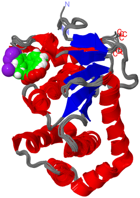 Image NMR Structure - all models