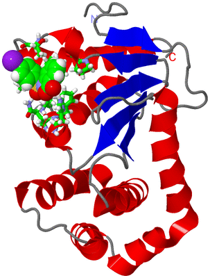 Image NMR Structure - model 1, sites