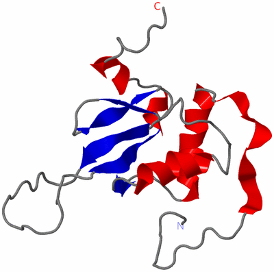 Image NMR Structure - model 1