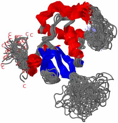 Image NMR Structure - all models