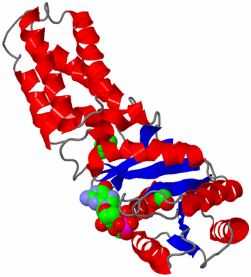 Image Asym./Biol. Unit