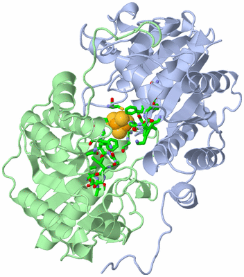 Image Asym./Biol. Unit - sites