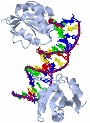 Image Biological Unit 1