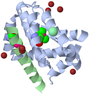 Image Biological Unit 1