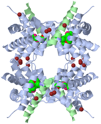 Image Biological Unit 2