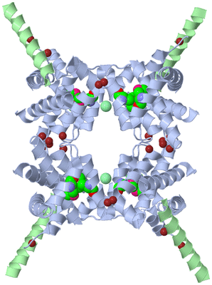 Image Biological Unit 3