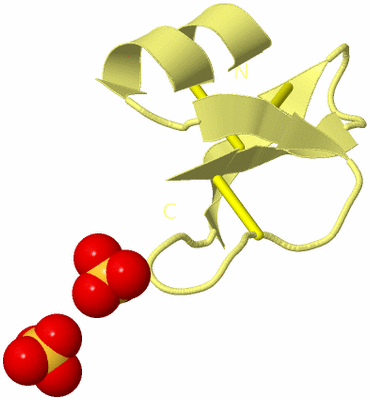 Image Biological Unit 4