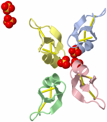 Image Biological Unit 5