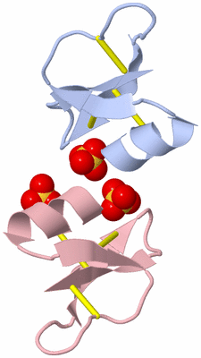 Image Biological Unit 6