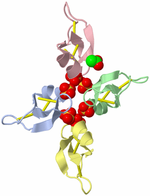 Image Biological Unit 5