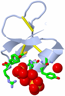 Image Biol. Unit 1 - sites