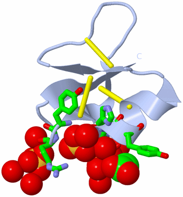 Image Biol. Unit 1 - sites