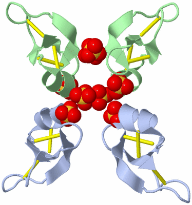 Image Biological Unit 3