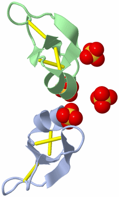 Image Biological Unit 4