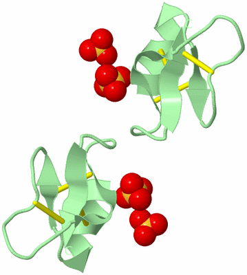 Image Biological Unit 6